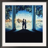The Princess Bride Video Cover