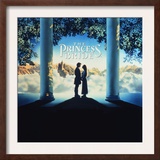 The Princess Bride Video Cover