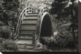 Moon Bridge in Tea Garden