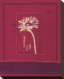Delhi Daisy