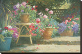 Potted Flowers