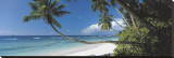 Anse Severe, Seychelles