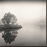 Tree, Study, no. 9