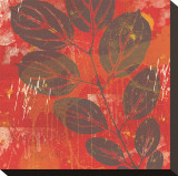 Buy Exotic Vine at AllPosters.com