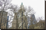 Woolworth Building from City Hall Park
