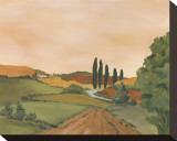 Sunny Tuscan Road