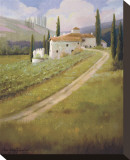 Tuscany Vineyard