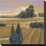 Summer Cypress