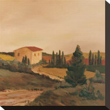 Sunny Tuscan Fields