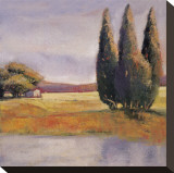 Sunset Cypress