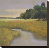 Placid Marsh