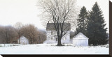 Buy Pennsylvania White at AllPosters.com
