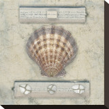 Buy Seashell Journal at AllPosters.com