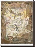 Buy Honeycomb Pussmoths at AllPosters.com