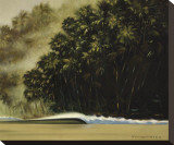 Point Savage II