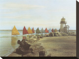 The Rainbow Fleet