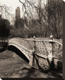 Central Park Bridges II