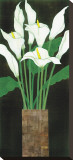 Ivory Calla Lilies
