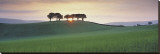 Somerset Sunrise