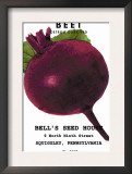 Beet: Detroit Dark Red