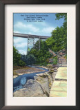 Watkins Glen, NY - State Park View of NY Central RR Bridge, Jacob's Ladder