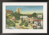 San Francisco, CA - Lombard St. Crooked Street View