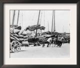 Dock Workers in Hong Kong Photograph - Hong Kong, China
