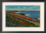 The Daylight Limited Train on California Coast - California Coast