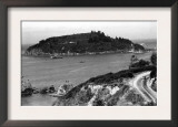 Redwoods, California Coast and Trinidad Head Photograph - Redwoods, CA