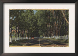 Peninsula Highway US 101 El Camino Real View - El Camino Real, CA