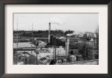Shelton, WA Lumber and Pulp Mills Photograph - Shelton, WA