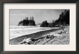 A Beach Scene at Ruby Beach Cabin Camp - Ruby Beach, WA