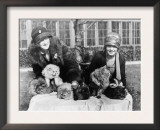 Women with their Persian Cats at Cat Show Photograph - Washington, DC