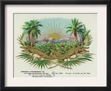 Two Alligators in a Tobacco Field Brand Cigar Box Label