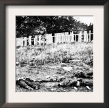 Antietam, MD, Dead Soldiers on Battlefield, Civil War