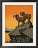 Buy National Parks at AllPosters.com