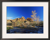 Oak Creek Running Before Cathedral Rocks, Red Rock Crossing, Sedona, Arizona, USA