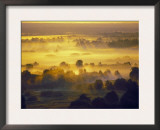 Sun Rise Over the Bryansk Forest, Bryansky Les Zapovednik, Russia