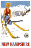 Buy New Hampshire Ski Poster at AllPosters.com