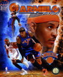 Carmelo Anthony 2011 Portrait Plus