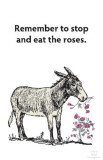 Buy Remember to Stop and Eat the Roses at AllPosters.com