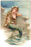 Mermaid