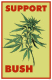Buy Support Bush at AllPosters.com