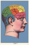 Buy Phrenology at AllPosters.com