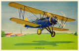 Buy Travel Air Bi-Plane at AllPosters.com