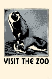 Visit the Zoo