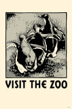 Visit the Zoo 3 Penguins