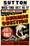 Buy The Burning Question at AllPosters.com