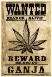 Buy Wanted Ganja at AllPosters.com