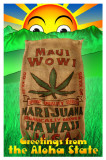 Buy Maui Wowi at AllPosters.com